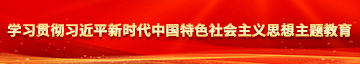 添大鸡吧视频学习贯彻习近平新时代中国特色社会主义思想主题教育